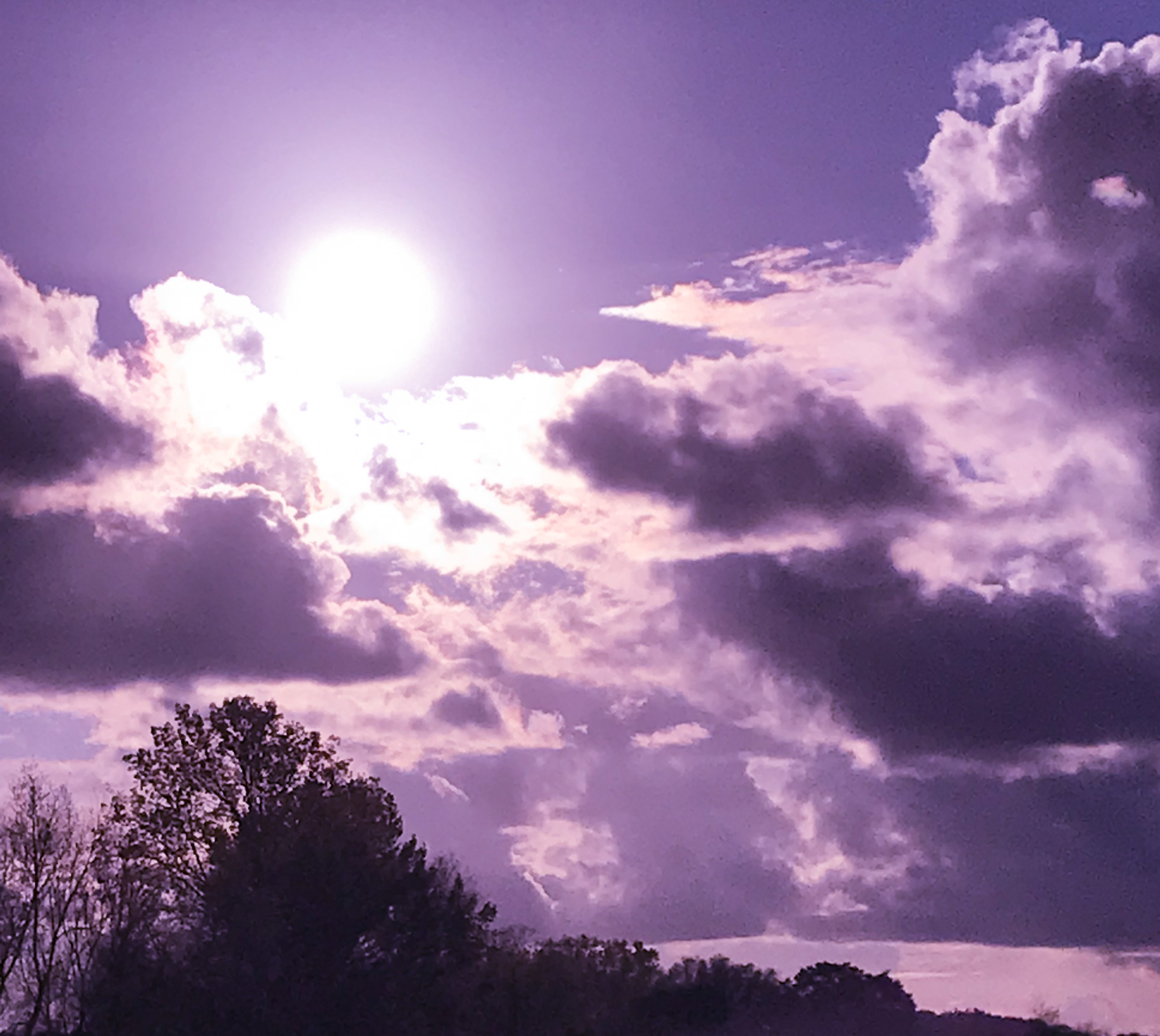 Sun Purple Sun Purple